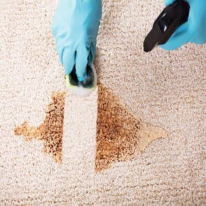How To Get Cat Throw Up Stain Out Of Carpet
