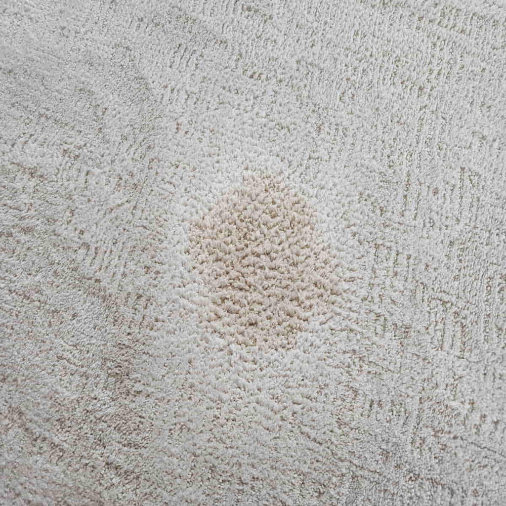 How To Get Old Stains Out Of Carpet Home Remedies