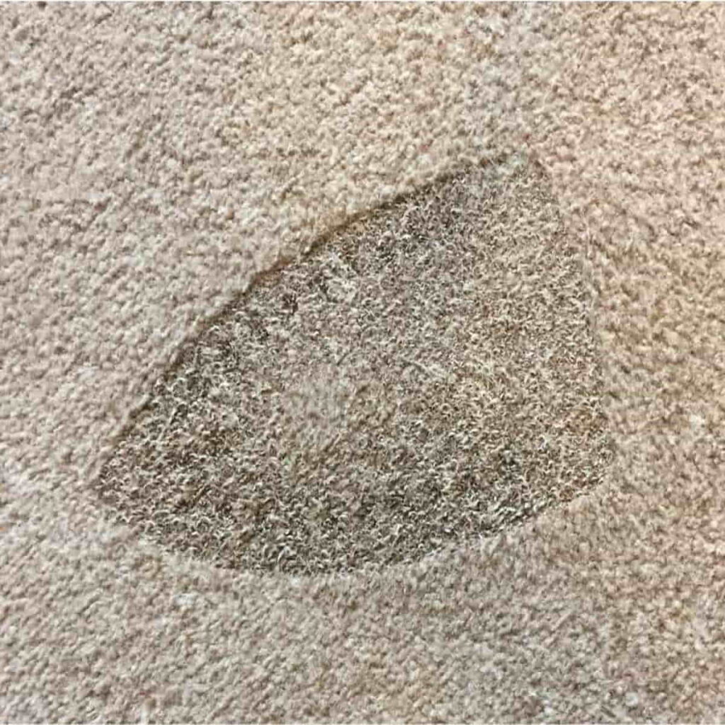How to Get Burn Stain Out of Carpet