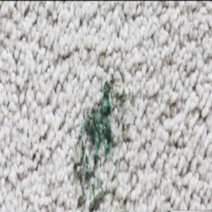 How to Get Grease Stain Out of Carpet