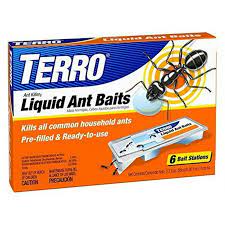 How To Get Rid Of Big Ants In The House
