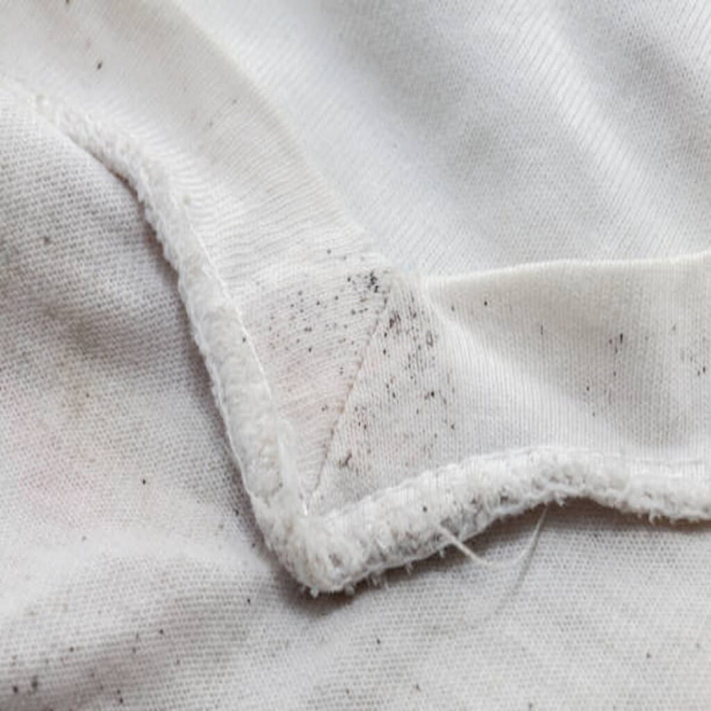 How To Remove A Mildew Stain From Clothes
